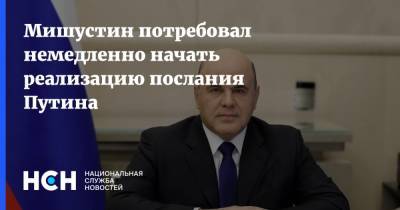 Владимир Путин - Михаил Мишустин - Мишустин потребовал немедленно начать реализацию послания Путина - nsn.fm