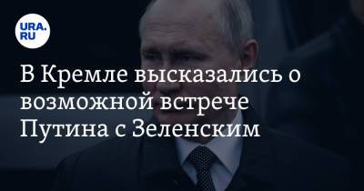 Владимир Зеленский - Владимир Путин - Дмитрий Песков - В Кремле высказались о возможной встрече Путина с Зеленским - ura.news