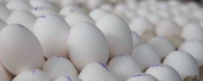 Перед Пасхой нижегородцы смогут купить яйца по ценам производителя - runews24.ru - Нижний Новгород - район Приокский - район Нижегородский