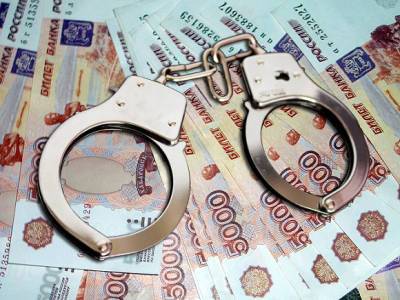 Ирина Волк - Организаторов финансовой пирамиды, обманувших 120 человек на 460 млн рублей, задержали в Москве - rosbalt.ru - Москва