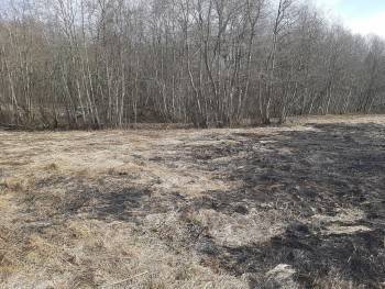 В Вологодской области начал действовать особый противопожарный режим - vologda-poisk.ru - Вологодская обл.