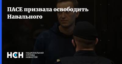 Алексей Навальный - ПАСЕ призвала освободить Навального - nsn.fm - Россия