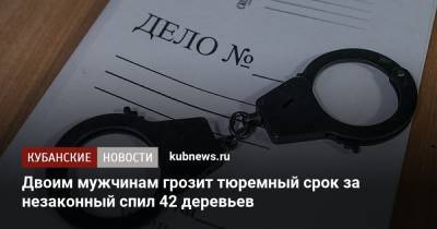 Двоим мужчинам грозит тюремный срок за незаконный спил 42 деревьев - kubnews.ru - Краснодарский край - Новороссийск