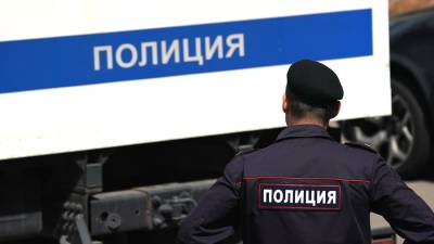 Ирина Волк - Организаторов финансовой пирамиды задержали в Москве - iz.ru - Москва