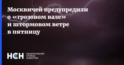 Евгений Тишковец - Москвичей предупредили о «грозовом вале» и штормовом ветре в пятницу - nsn.fm - Москва