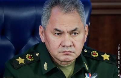 Сергей Шойгу - Михаил Метцель - Шойгу объявил о завершении проверки войск Южного и Западного округов - interfax.ru - Москва - Крым - округ Западный