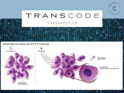 IPO Transcode Therapeutics - инвестиции в борьбу с онкологией - smartmoney.one - Бостон - шт. Массачусетс