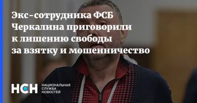 Кирилл Черкалин - Экс-сотрудника ФСБ Черкалина приговорили к лишению свободы за взятку и мошенничество - nsn.fm - Москва