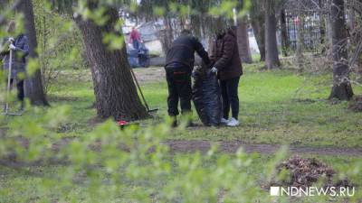 В Курганской области пройдет серия креативных субботников - newdaynews.ru - Курганская обл. - Курган