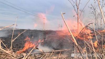На Среднем Урале объявлен четвертый класс пожарной опасности. Садоводов просят не разводить костры - newdaynews.ru - Свердловская обл.