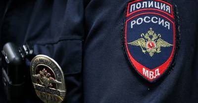 МВД запретило 122 иностранцам въезд в Россию на 40 лет за участие в незаконных акциях - reendex.ru - Москва