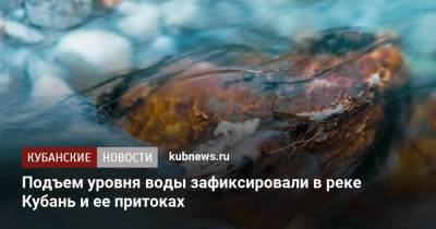 Роман Вильфанд - Подъем уровня воды зафиксировали в реке Кубань и ее притоках - kubnews.ru - Краснодарский край - Краснодар
