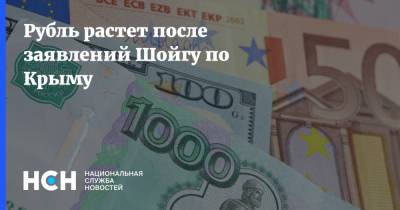 Сергей Шойгу - Рубль растет после заявлений Шойгу по Крыму - nsn.fm - Крым