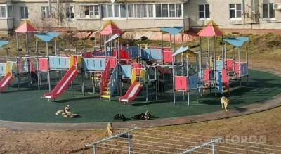 Семь собак захватили новую детскую площадку: “Лают и не впускают” - skuke.net - район Чебоксарский