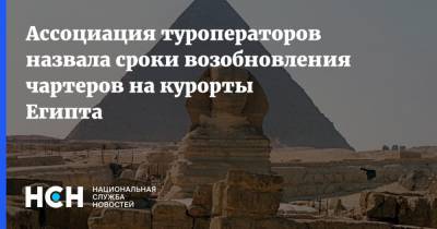 Михаил Богданов - Майя Ломидзе - Ассоциация туроператоров назвала сроки возобновления чартеров на курорты Египта - nsn.fm - Египет