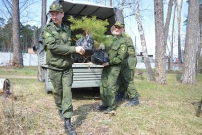 Новые деревья высажены в Серпуховском бору - serp.mk.ru