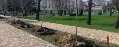 Максим Косенков - В парке культуры и отдыха Тамбова высадили аллею кленов - runews24.ru - Тамбов