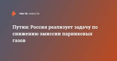 Владимир Путин - Путин: Россия реализует задачу по снижению эмиссии парниковых газов - ren.tv