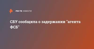 СБУ сообщила о задержании "агента ФСБ" - ren.tv - Россия - Украина - Житомирская обл.