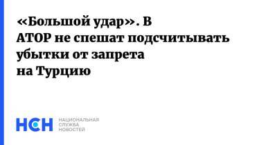 Майя Ломидзе - «Большой удар». В АТОР не спешат подсчитывать убытки от запрета на Турцию - nsn.fm - Турция