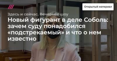 Новый фигурант в деле Соболь: зачем суду понадобился «подстрекаемый» и что о нем известно - tvrain.ru