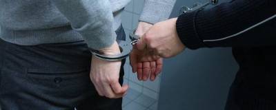 Оштрафован 18-летний организатор акции протеста в Новосибирске - runews24.ru - Новосибирск