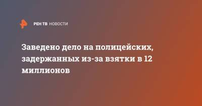 Заведено дело на полицейских, задержанных из-за взятки в 12 миллионов - ren.tv - Москва