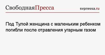 Под Тулой женщина с маленьким ребенком погибли после отравления угарным газом - svpressa.ru - Башкирия - Тула - Тульская обл.