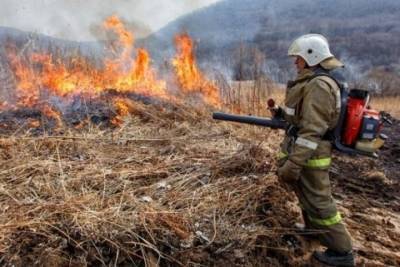 Шесть лесных пожаров действуют в Забайкалье, 19 потушено - mk.ru - Забайкальск - Сретенск