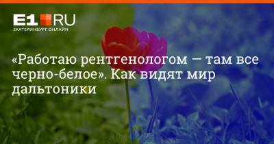 Филипп Сапегин - «Работаю рентгенологом — там все черно-белое». Как видят мир дальтоники - e1.ru - Екатеринбург