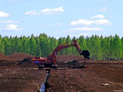 В Смоленской области собираются разрабатывать несколько торфяных месторождений - rabochy-put.ru - Смоленская обл. - ЦФО - Экология