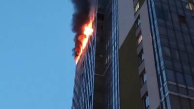 Во время пожара в Кудрово погиб кот - piter.tv - Санкт-Петербург