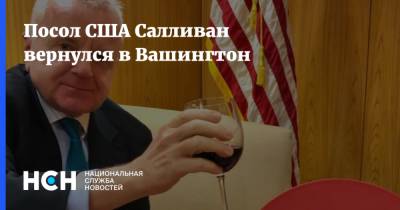 Юрий Ушаков - Джон Салливан - Посол США Салливан вернулся в Вашингтон - nsn.fm - Россия - США - Вашингтон