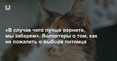 «В случае чего лучше верните, мы заберем». Волонтеры о том, как не пожалеть о выборе питомца - news.tut.by