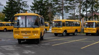 В этом году в Удмуртию поступит 86 школьных автобусов - gorodglazov.com - респ. Удмуртия