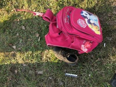 Уголовное дело возбуждено из-за гибели девочки под колесами автомобиля в Выксе - vgoroden.ru - Нижегородская обл.