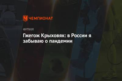 Гжегож Крыховяк - Гжегож Крыховяк: в России я забываю о пандемии - championat.com