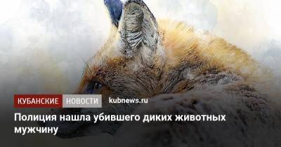 Полиция нашла убившего диких животных мужчину - kubnews.ru - Краснодар - респ. Адыгея