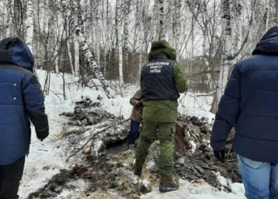 Тело брошенной мамой-наркоманкой 6-летней девочки нашли в лесу Красноярского края - province.ru - Красноярский край