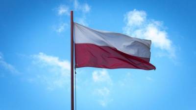 Кшиштоф Краевский - МИД объявил пятерых сотрудников посольства Польши персонами нон-грата - piter.tv - Москва - Польша - Варшава - Посол