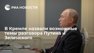 Владимир Зеленский - Владимир Путин - Дмитрий Песков - В Кремле назвали возможные темы разговора Путина и Зеленского - ria.ru - Москва - Россия - Крым - ДНР