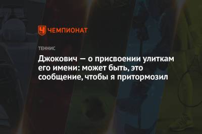 Джокович Новак - Джокович — о присвоении улиткам его имени: может быть, это сообщение, чтобы я притормозил - championat.com - Сербия