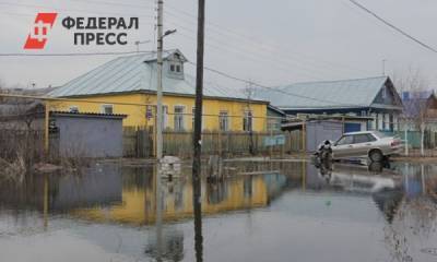 В Башкирии за сутки затопило около 400 садовых участков - fedpress.ru - Башкирия - Уфа