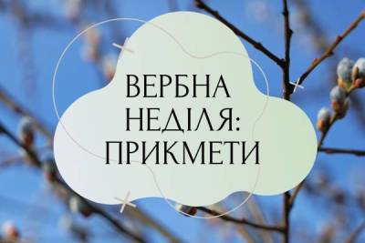 Вербна неділя — прикмети, що можна і що не можна робити - skuke.net
