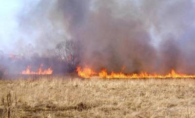 В Тюменской области за сутки пожары уничтожили 20 тысяч гектаров лесов и полей - news.megatyumen.ru - Тюменская обл.