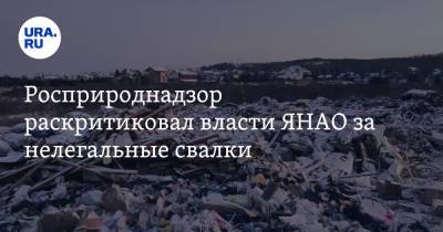 Светлана Радионова - Росприроднадзор раскритиковал чиновников ЯНАО за свалки мусора - ura.news - Салехард - окр. Янао