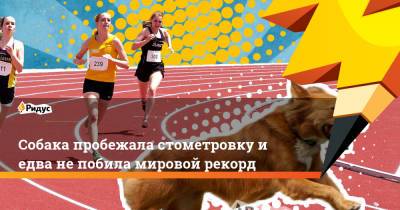 Собака пробежала стометровку и едва не побила мировой рекорд - ridus.ru - Юта