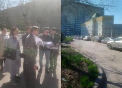 В Ростове благоустройство пешеходной зоны в Александровке хотят отменить - privet-rostov.ru