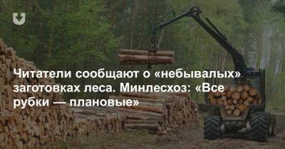 Читатели сообщают о «небывалых» заготовках леса. Минлесхоз: «Все рубки — плановые» - news.tut.by - Строительство