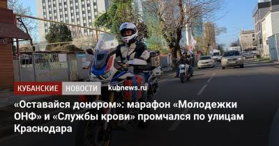 «Оставайся донором»: марафон «Молодежки ОНФ» и «Службы крови» промчался по улицам Краснодара - kubnews.ru - Краснодарский край - Краснодар